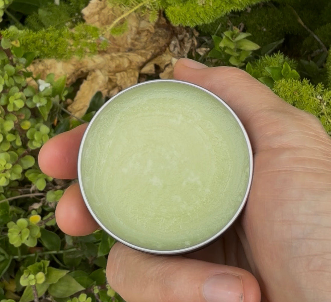 Sēlkyn Tallow Organic Hair Mask