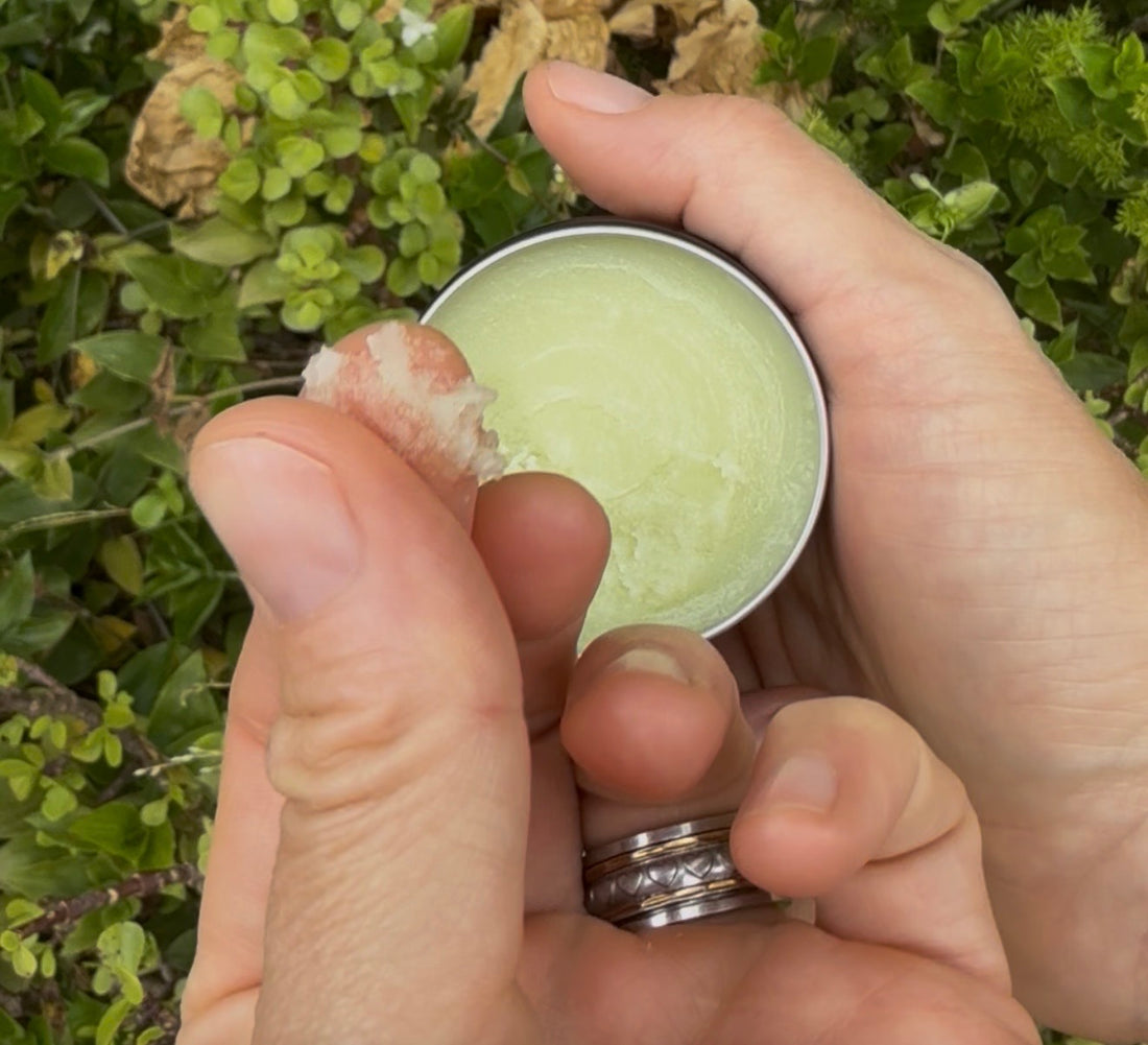 Organic Tallow Hair Mask - hair and scalp treatment by Sēlkyn Tallow